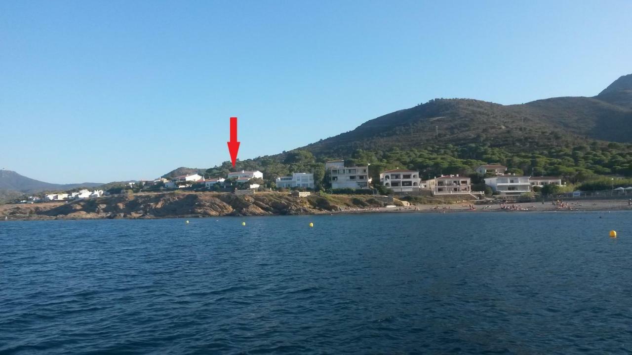 El Port De La SelvaEstrella Del Mar公寓 外观 照片
